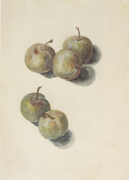 Edouard Manet Etude de cinq prunes (mk40) oil painting picture